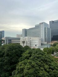 Moulmein Court (D11), Apartment #463152771